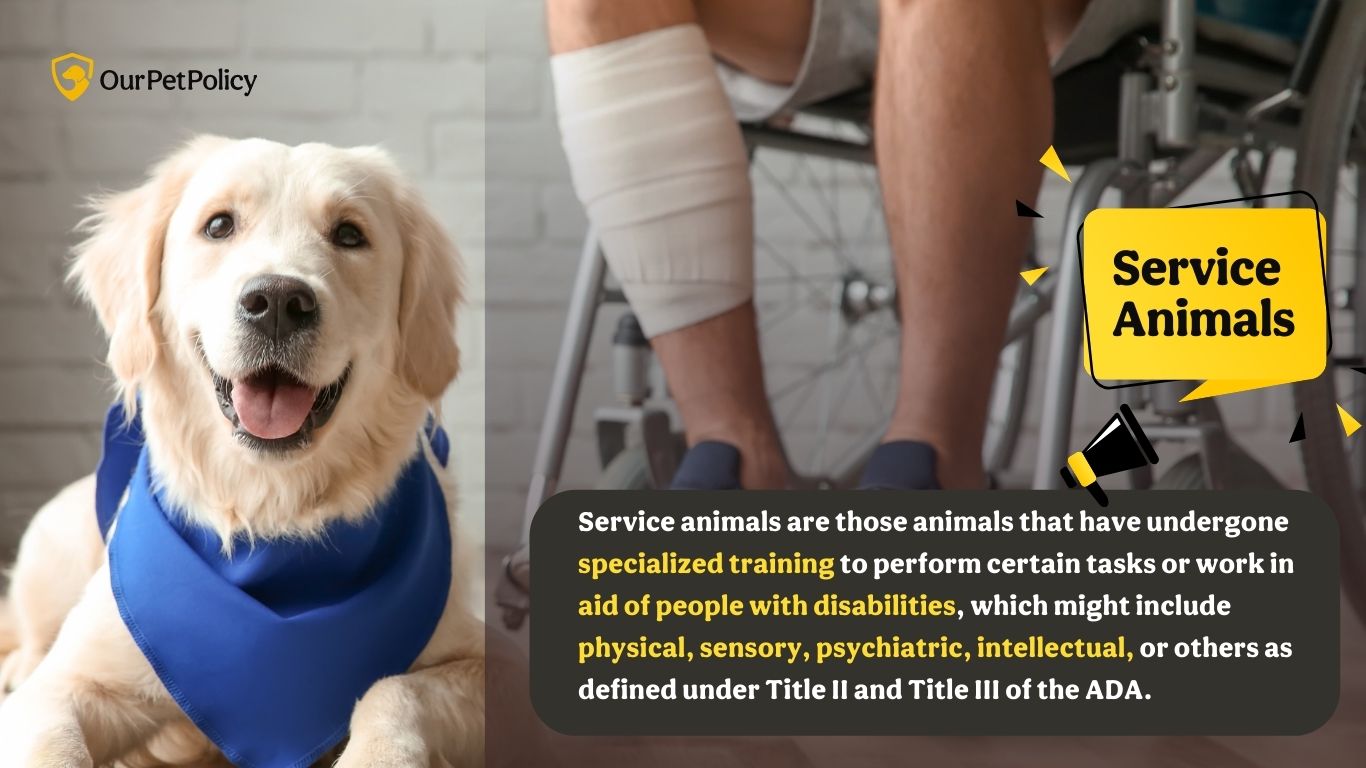 Emotional Support Animals, Service Animals, and Pets. What’s the ...