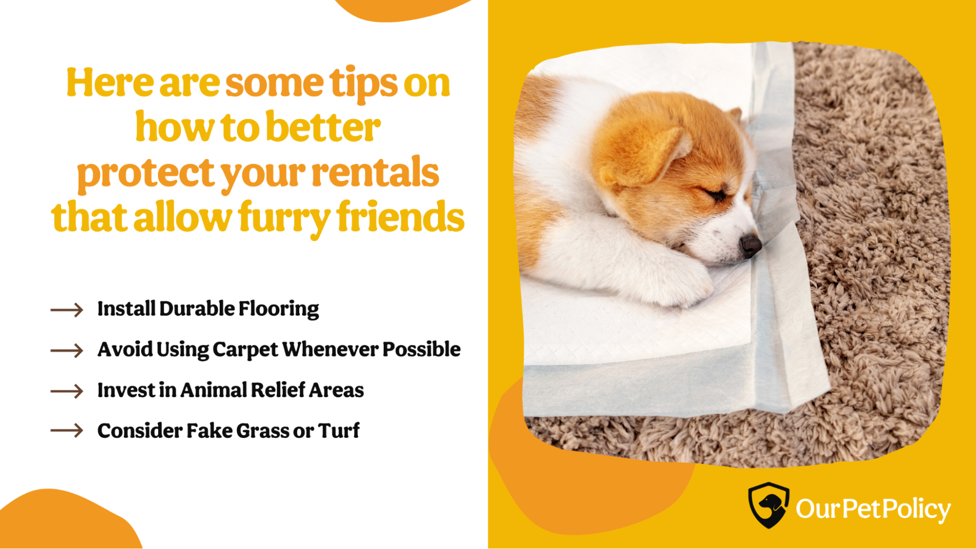 Tips on how to protect pet-friendly rental property