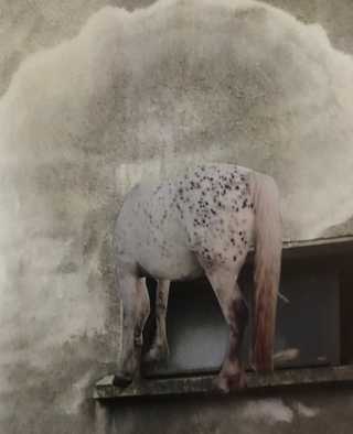 Cheval de Troyes