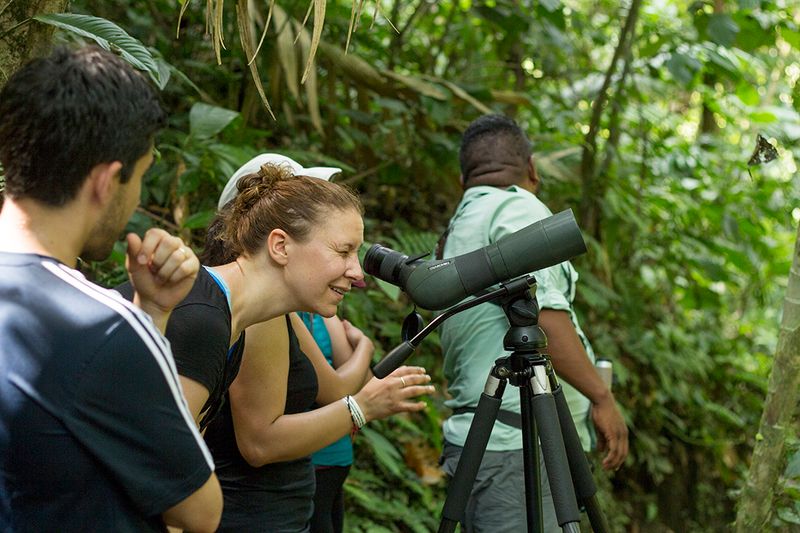Arenal Wildlife Tours