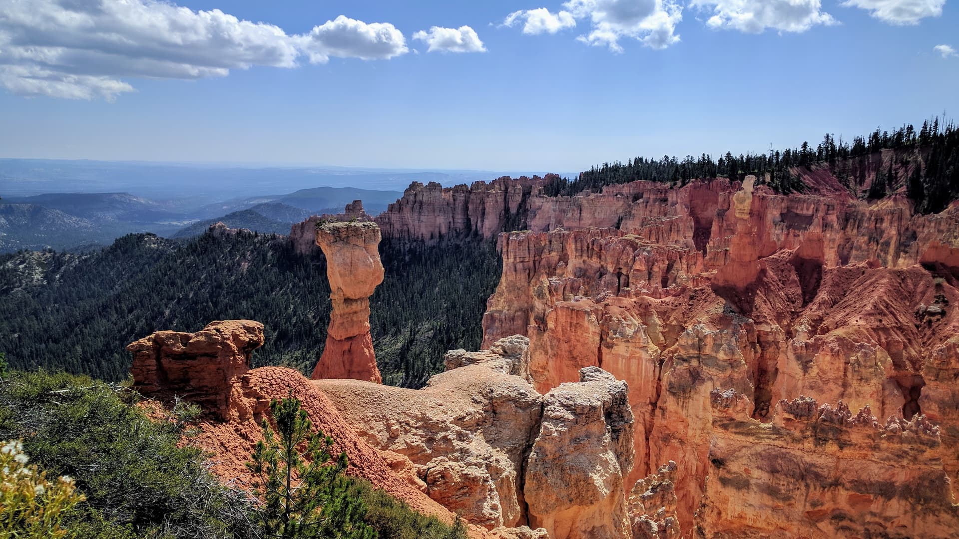 Red and white pillars of soft rock cluster together, eventually becoming the South Wall of Bryce Canyon. The pillars stop abruptly, and are immediately replaced by a pine forest. At left stands an exceptionally tall pillar, which is higher than the Canyon wall itself.