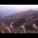 China Longshi Sunrise 19