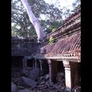 Cambodia Jungle Ruins 18