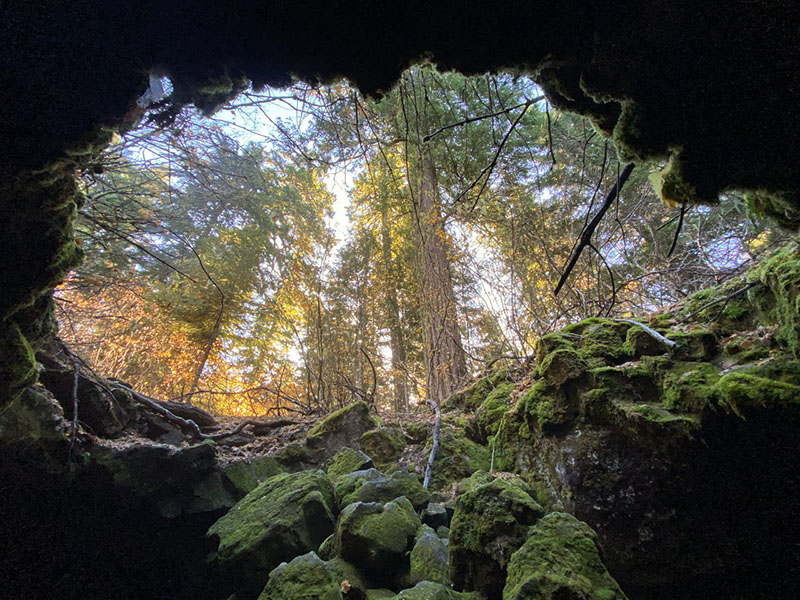 Lava tubes near the Lewis River and Gifford Pinchot National Forest