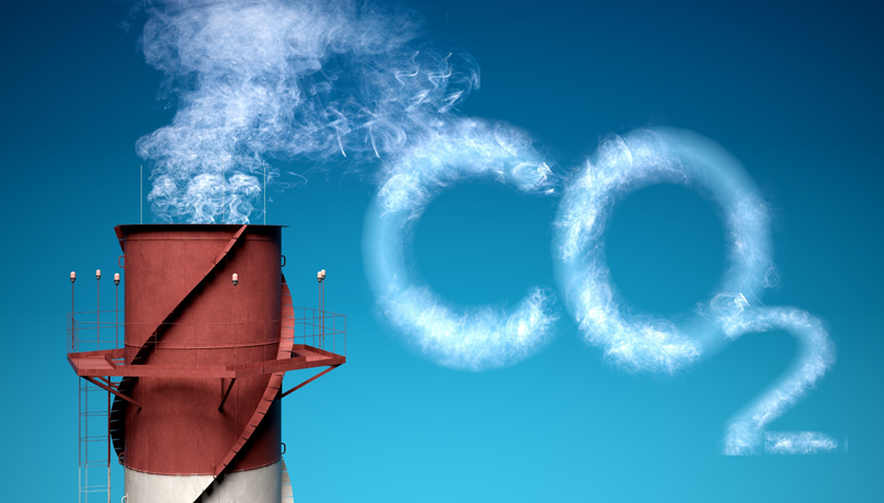 Imagem em destaque para o artigo: Créditos de carbono: entenda tudo sobre o tema