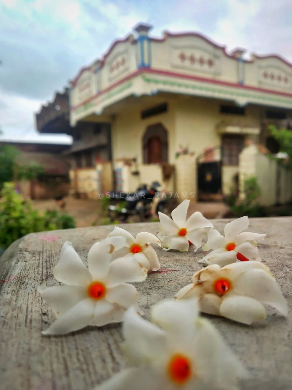 flower-house