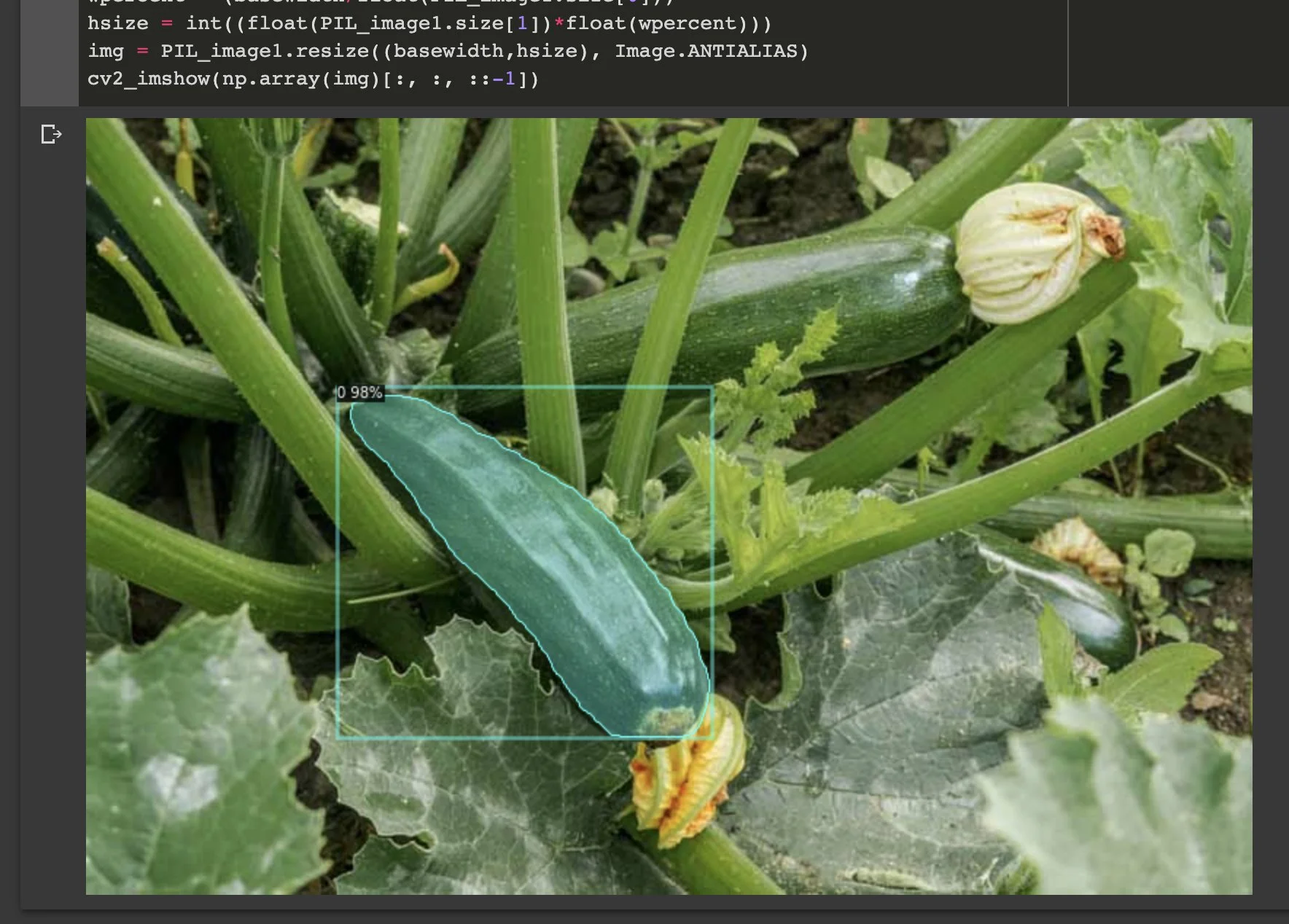 From Childhood Lesson to AI Innovation: Automating Zucchini Detection with a Custom-Trained Detectron2 AI Model