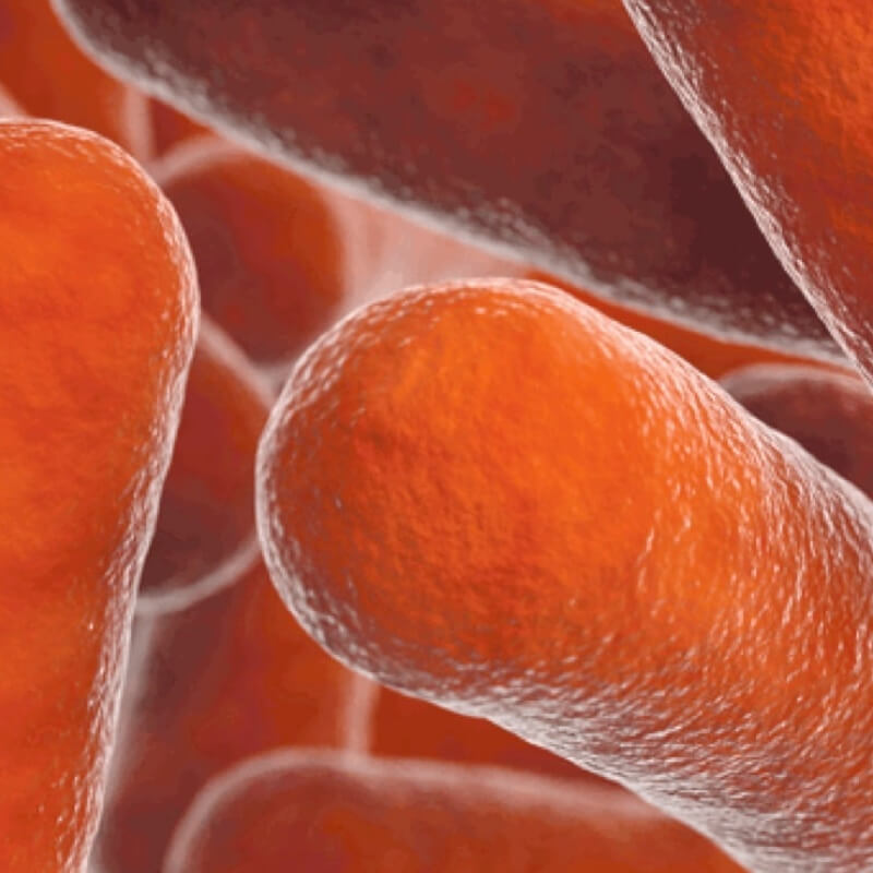 Novel Antimicrobials & AMR Diagnostics Conference