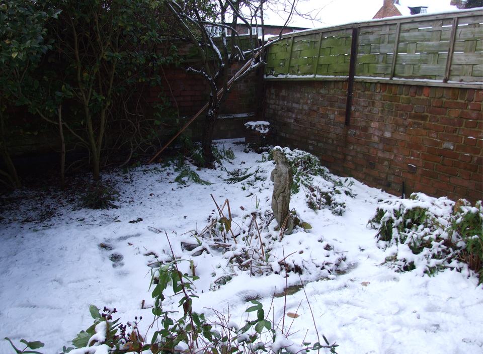 Appledore Garden Design