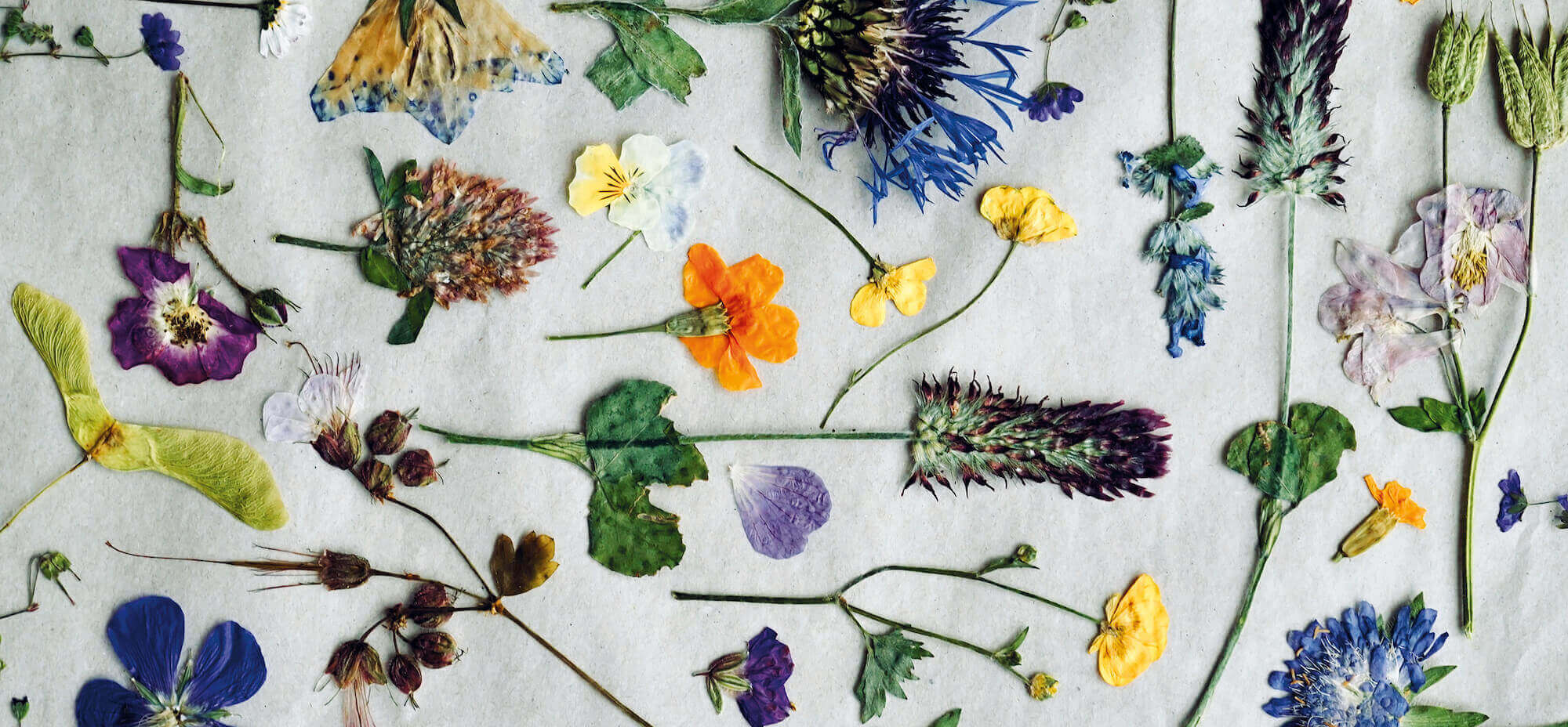 For Food & Love – A collection of last year's most beautiful pressed flowers