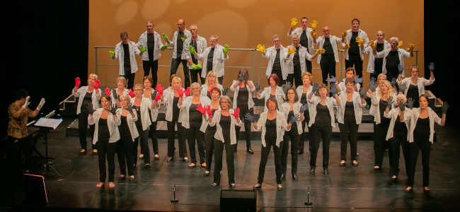 Photo **Groupe vocal COUP D’CHŒUR** <br>Chambéry