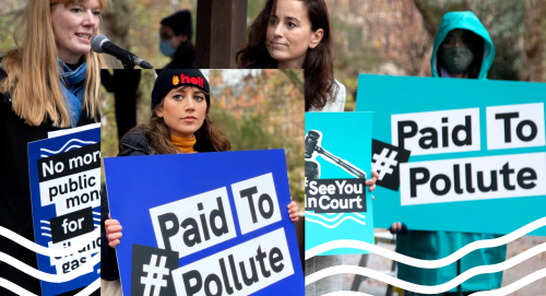 A collage of photos of people holding signs saying 'Paid to pollute' at a protest