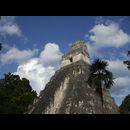 Guatemala Tikal 8