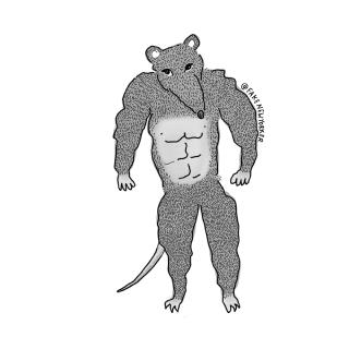 A jacked rat looks directly at you, daring you to do something