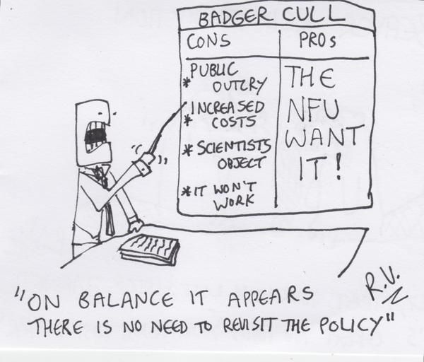 oh my god twitter doesn’t include alt text from images in their API