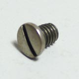 Screw Screw