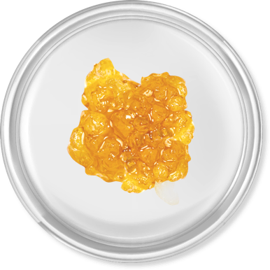 Bakked Extracts Live Resin
