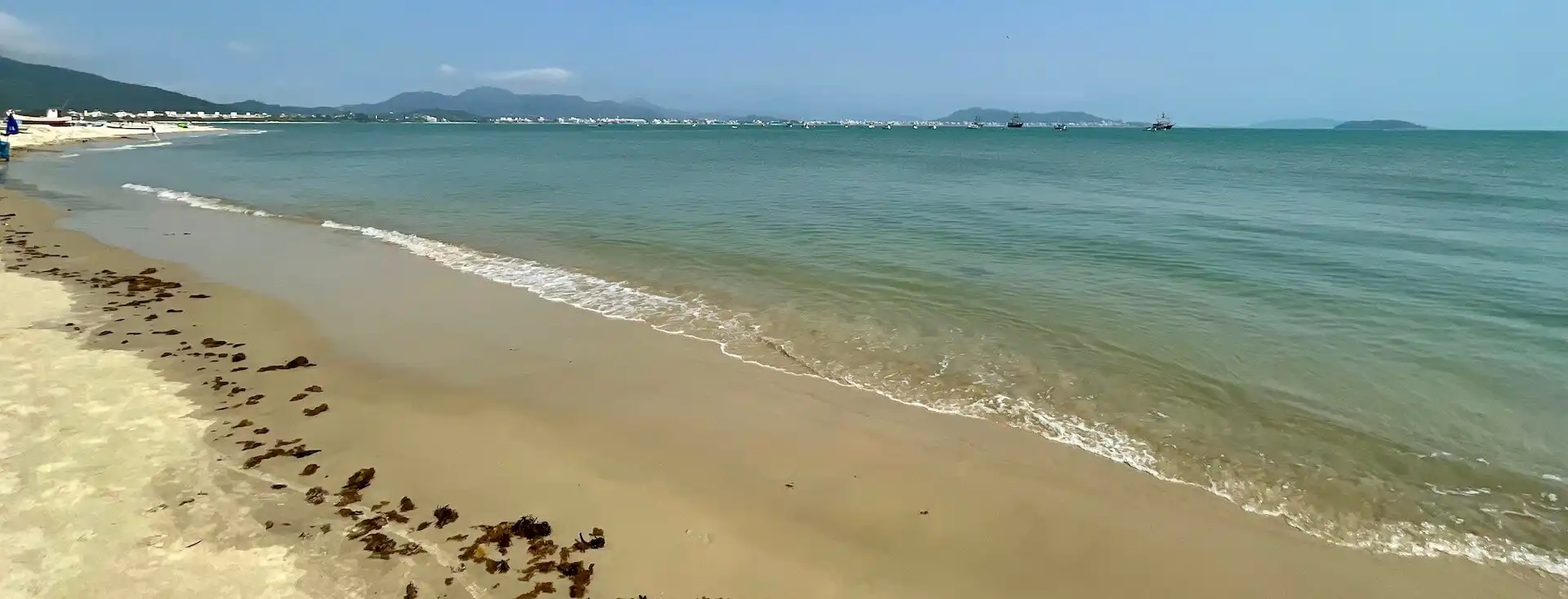 Vista da praia com foco na água esverdeada com pequena faixa de areia molhada a esquerda.