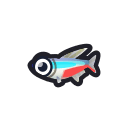 Neon Tetra