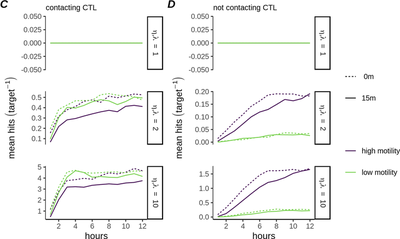 [Fig. 4C-D](https://journals.plos.org/ploscompbiol/article?id=10.1371/journal.pcbi.1007972#pcbi-1007972-g004): Mean number of hits received per target, sampled over targets currently contacting the CTL (C) or over targets not currently contacting the CTL (D). ([CC BY 4.0](https://creativecommons.org/licenses/by/4.0/): [**Beck *et al.***](#reference))