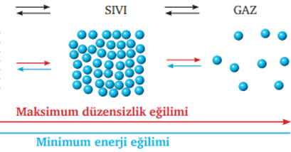 Kimyasal Denge – Denge Sabiti ve Denge Kesri