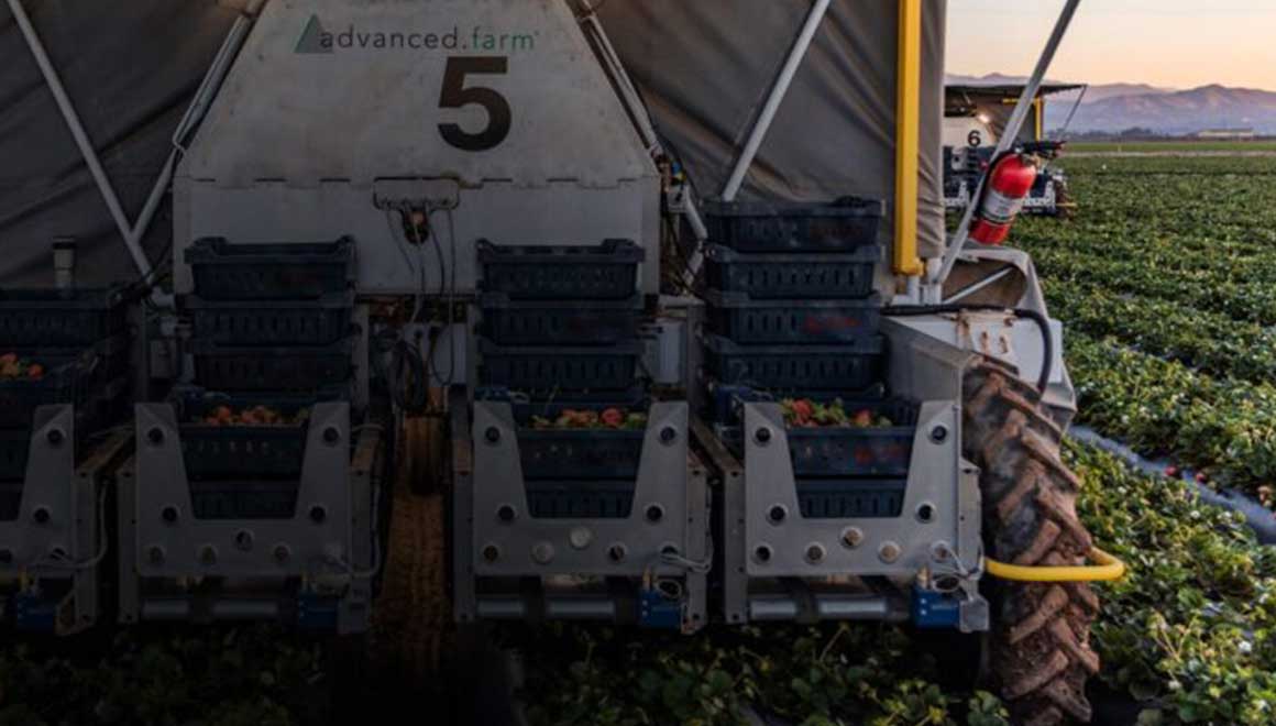 Image of Advanced Farm strawberry Harvester