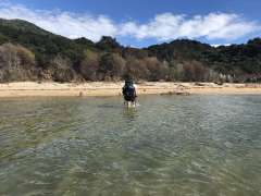 Unexpected stream crossing in the middle of a beach