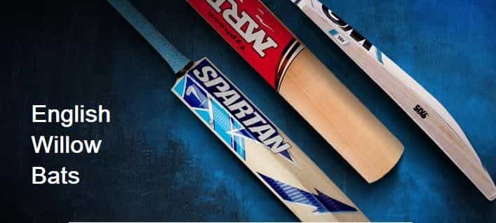 Best cricket bat to buy online in India