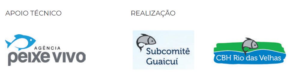 CBH Rio das Velhas :: Subcomitê Guaicuí :: Agência PEIXE VIVO