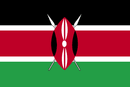 kenya-abortion-information flag