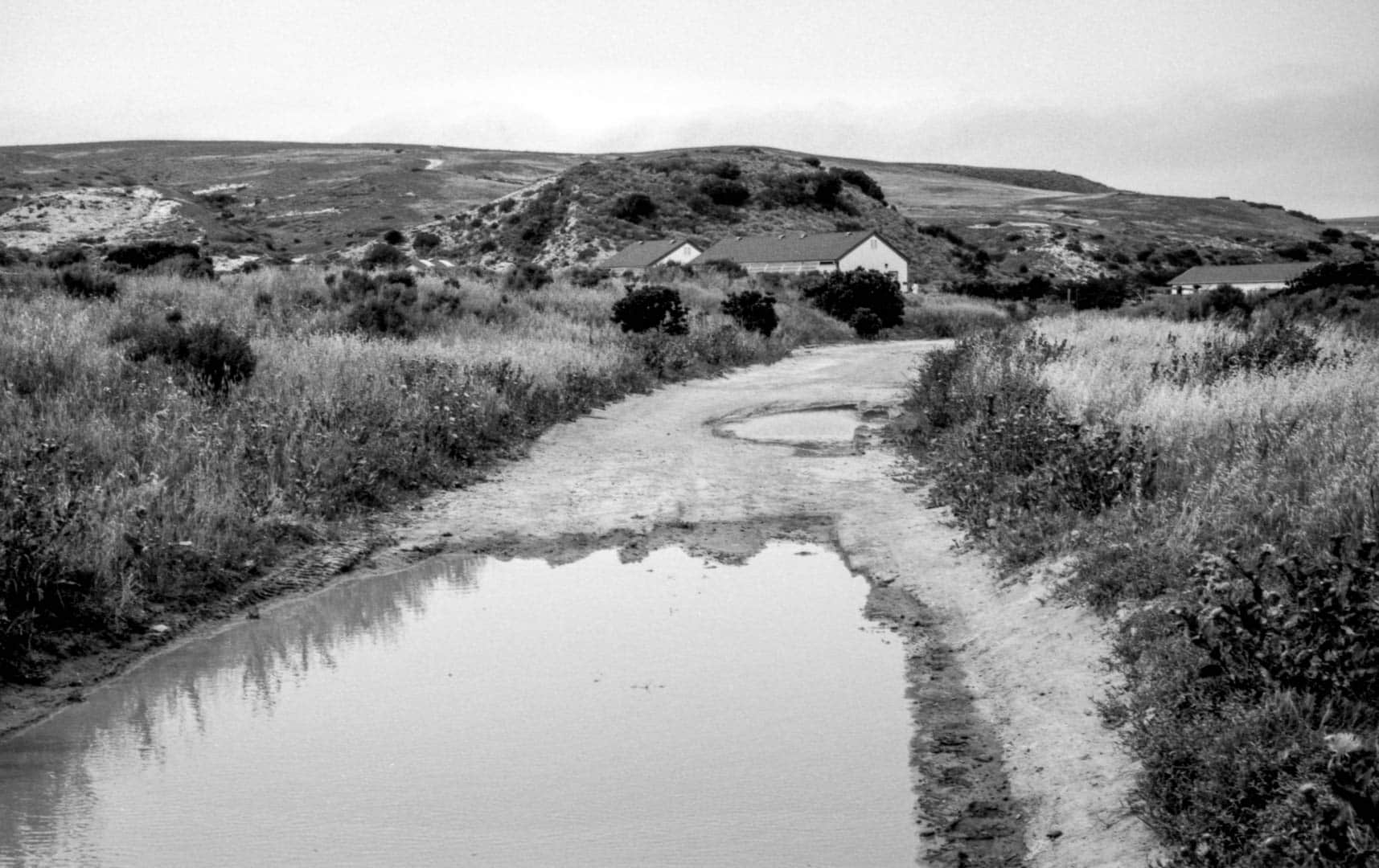 Puddles on a path towards some remote houses