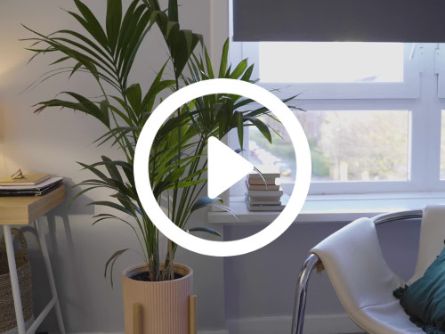 Basic home office interior featuring window holding sub-urban views behind modern white chair next to green potted plant Skype background