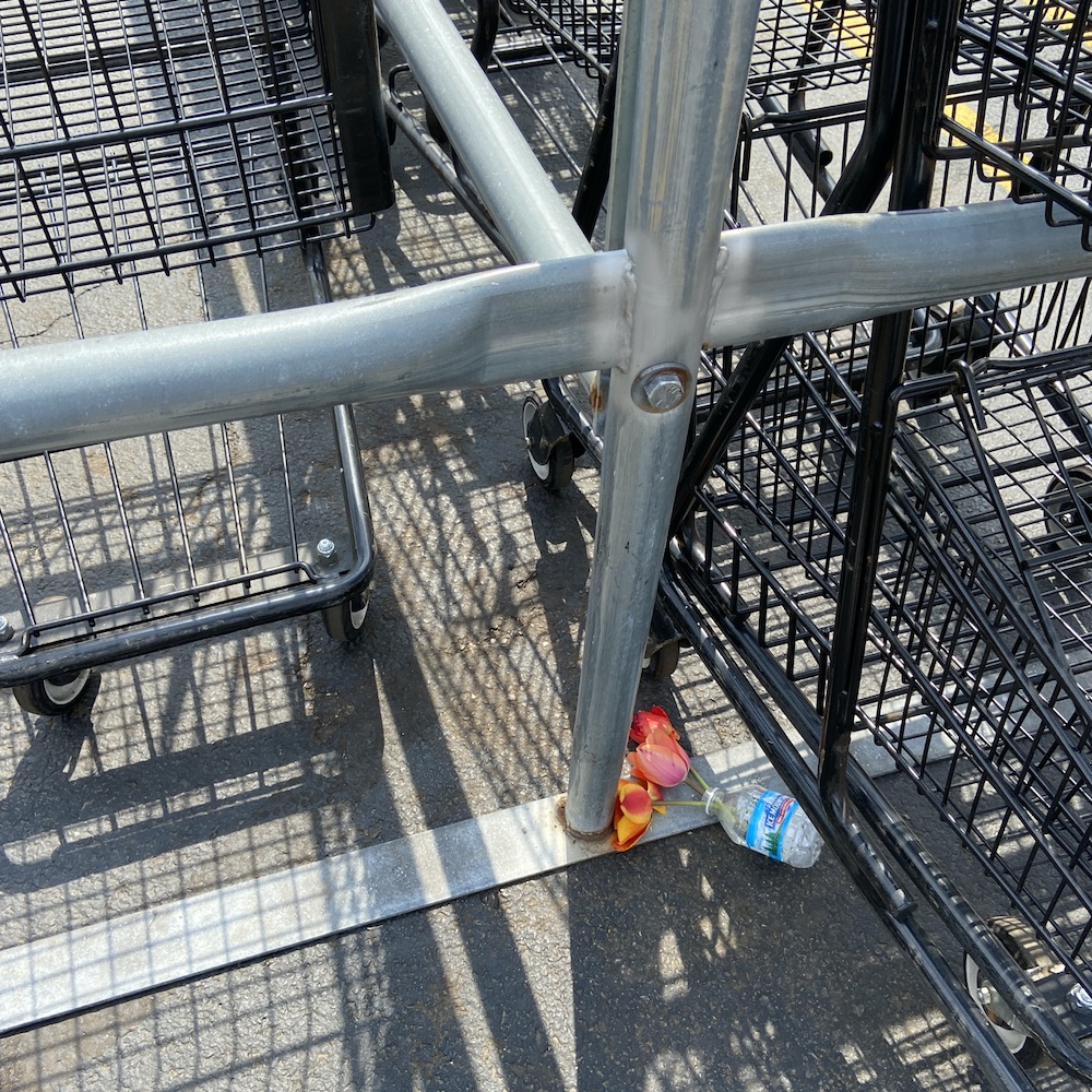 A water bottle with tulips in it on the ground in a grocery store parking lot.