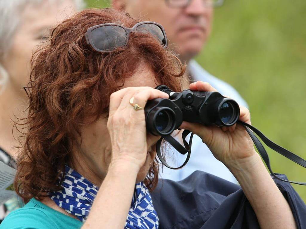 Aussie Backyard Bird Count 2022 UpNext