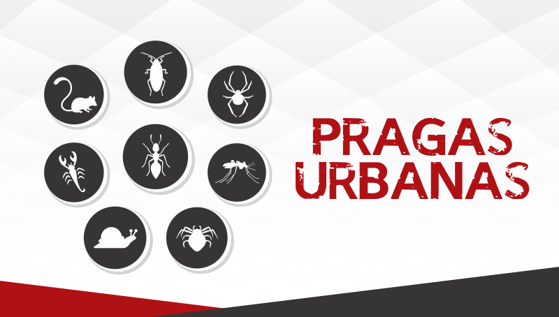 Imagem em destaque para o artigo: Cuidado! 5 pragas urbanas que se escondem no lixo
