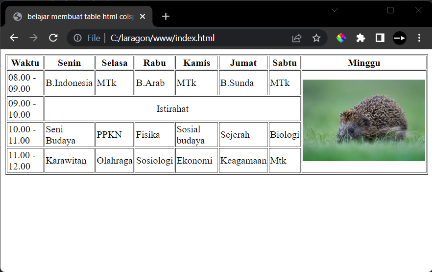 belajar membuat table html dengan image