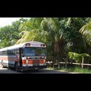 Belize Transport 2
