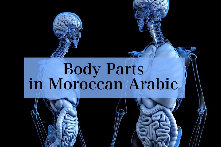 Body Parts in Moroccan Arabic