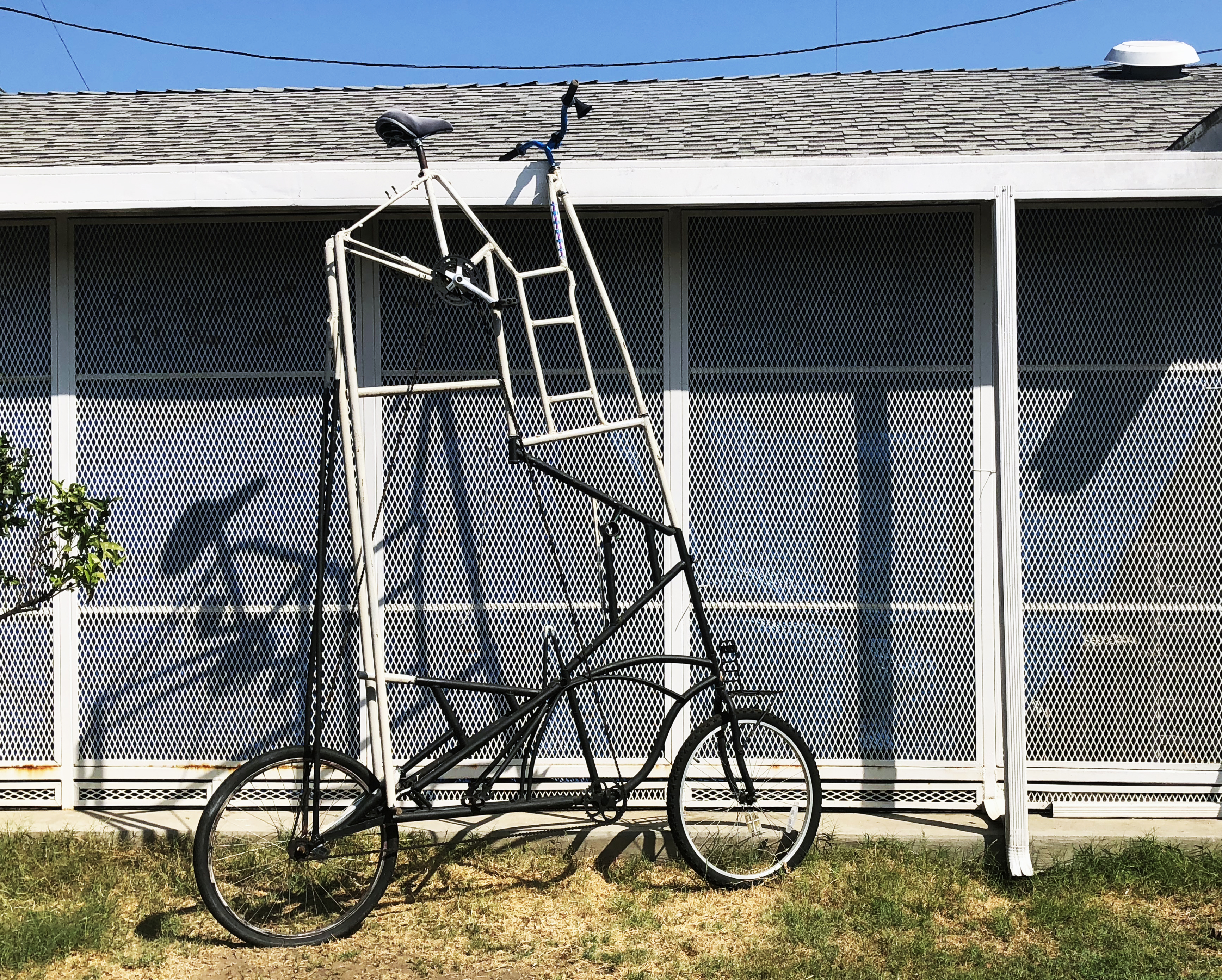 Unusually tall Bike