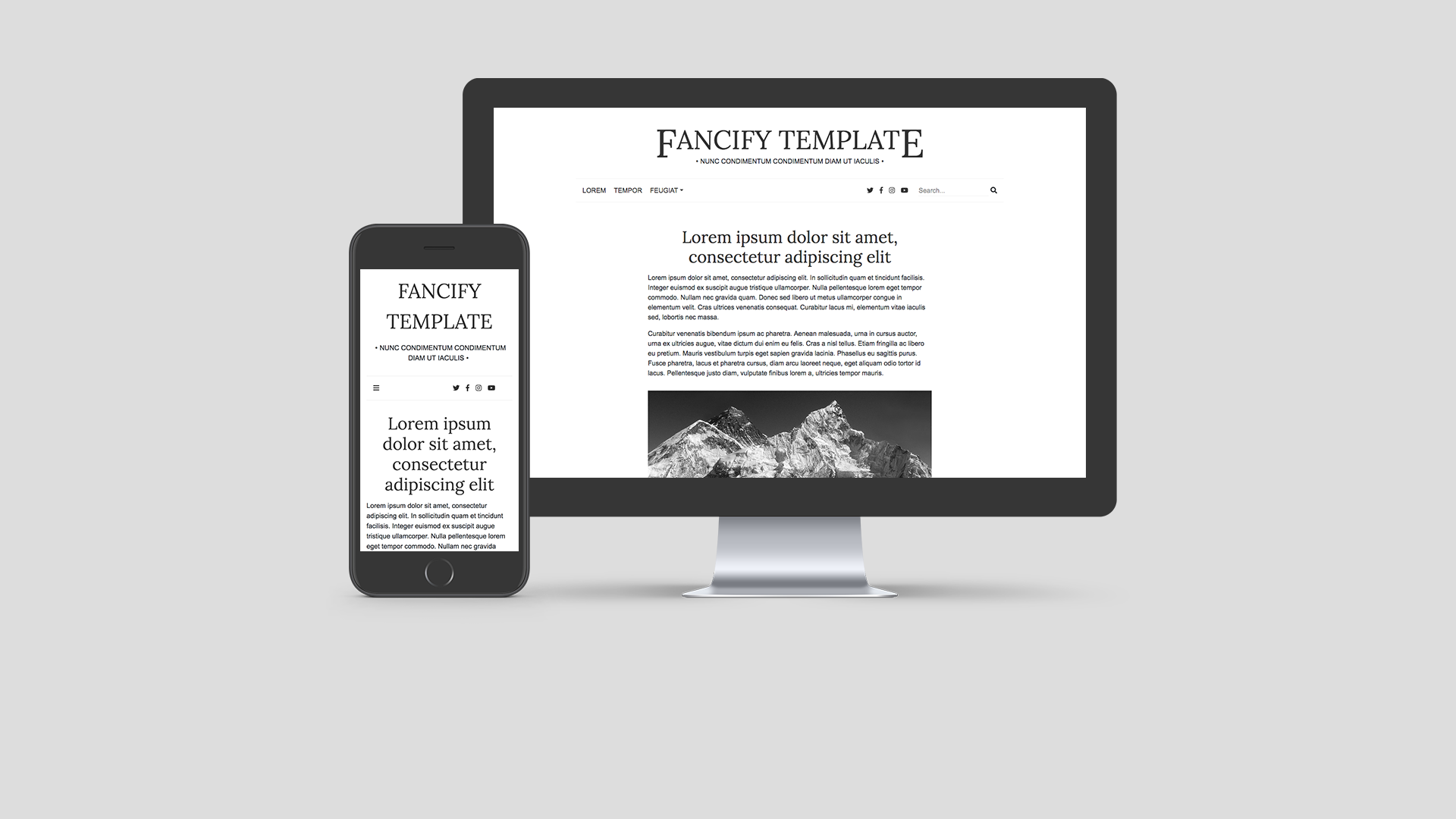 Fancify website template