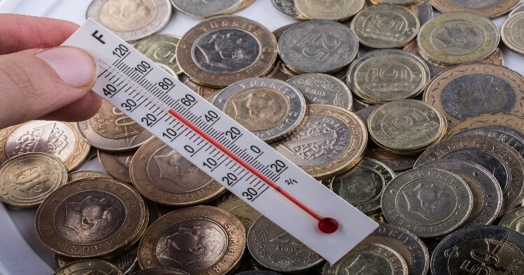 Thermometer and Coins