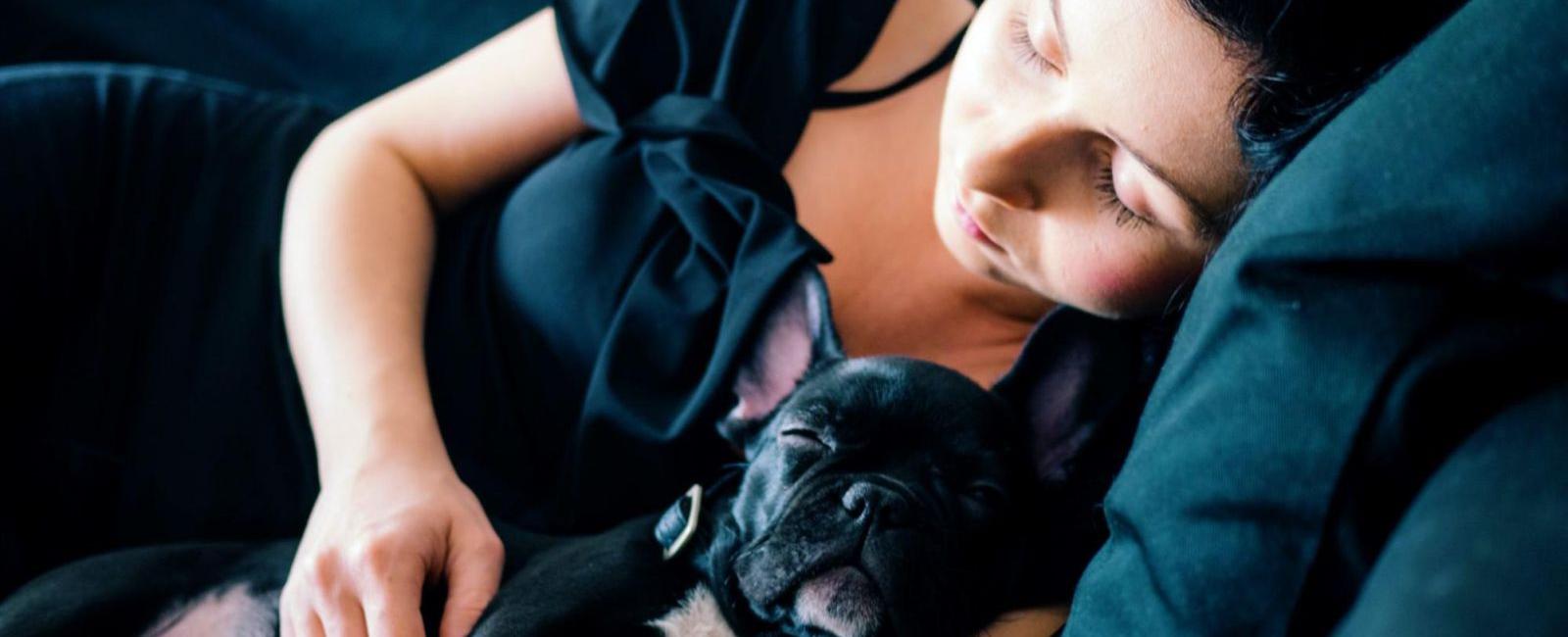 Your Dog Won't Sleep Without You? Here's Why & How to Help Your Pet Sleep Independently