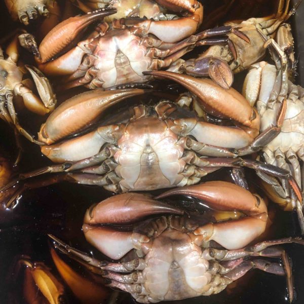 Seoul Marinated Crab