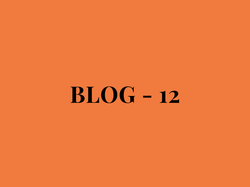 Blog Number 12