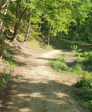 Dry dirt path up into the woods at Post Hill