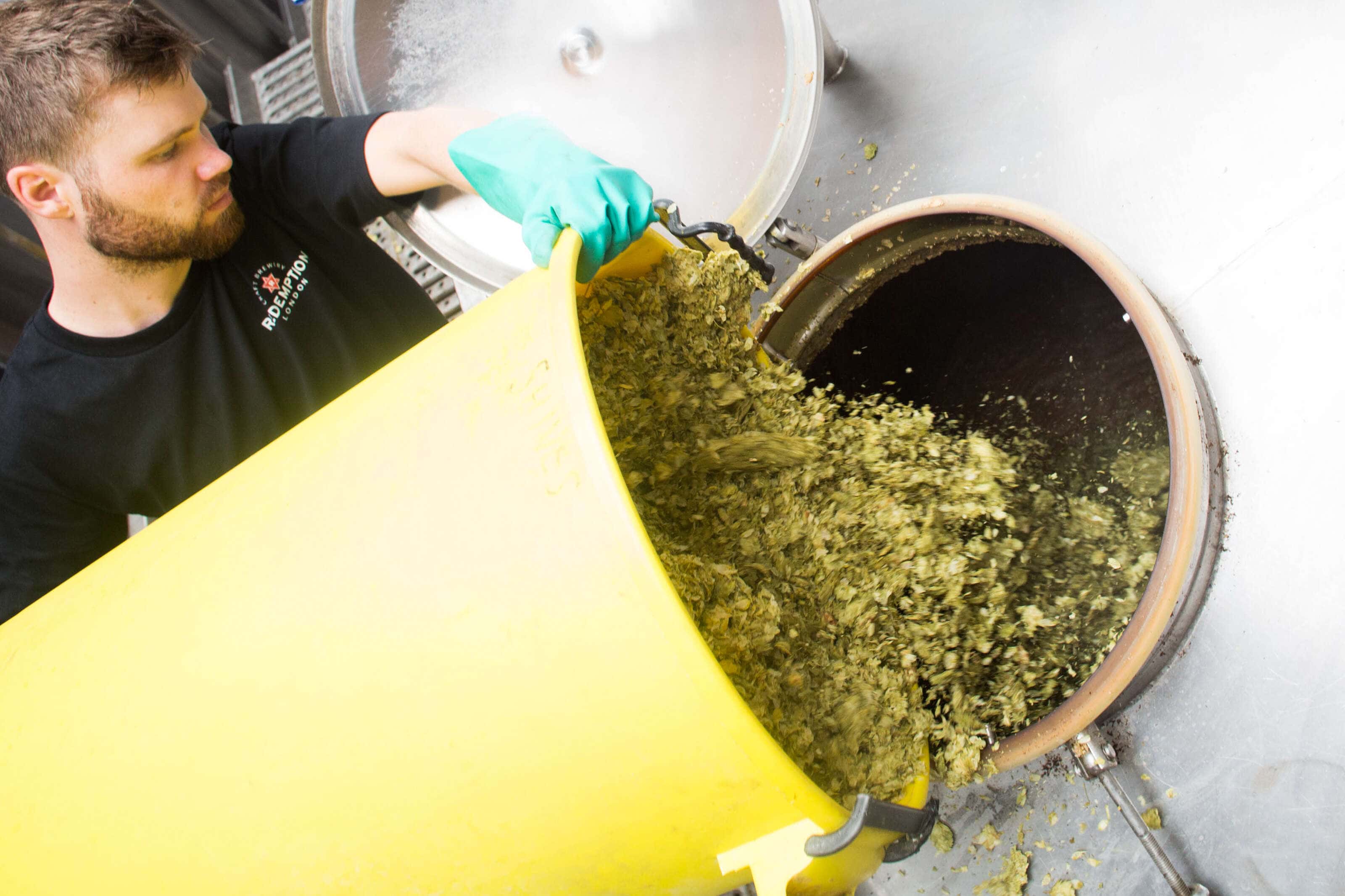 hops being added to yeast to make beer at redemption brewery.