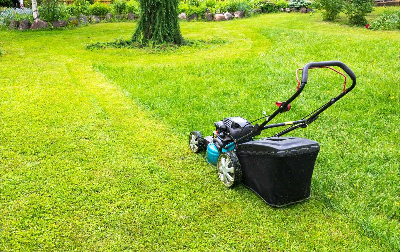 The Best Time to Buy a Lawn Mower (2023) BTTB