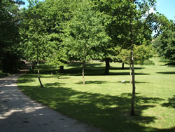 penlee park - the perfect place for a picnic