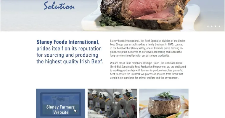 New Website launched for Slaney Foods