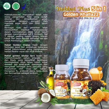5in1 Golden Khallaz
